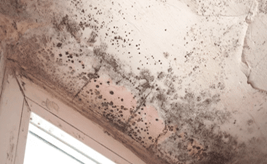 A moldy ceiling.
